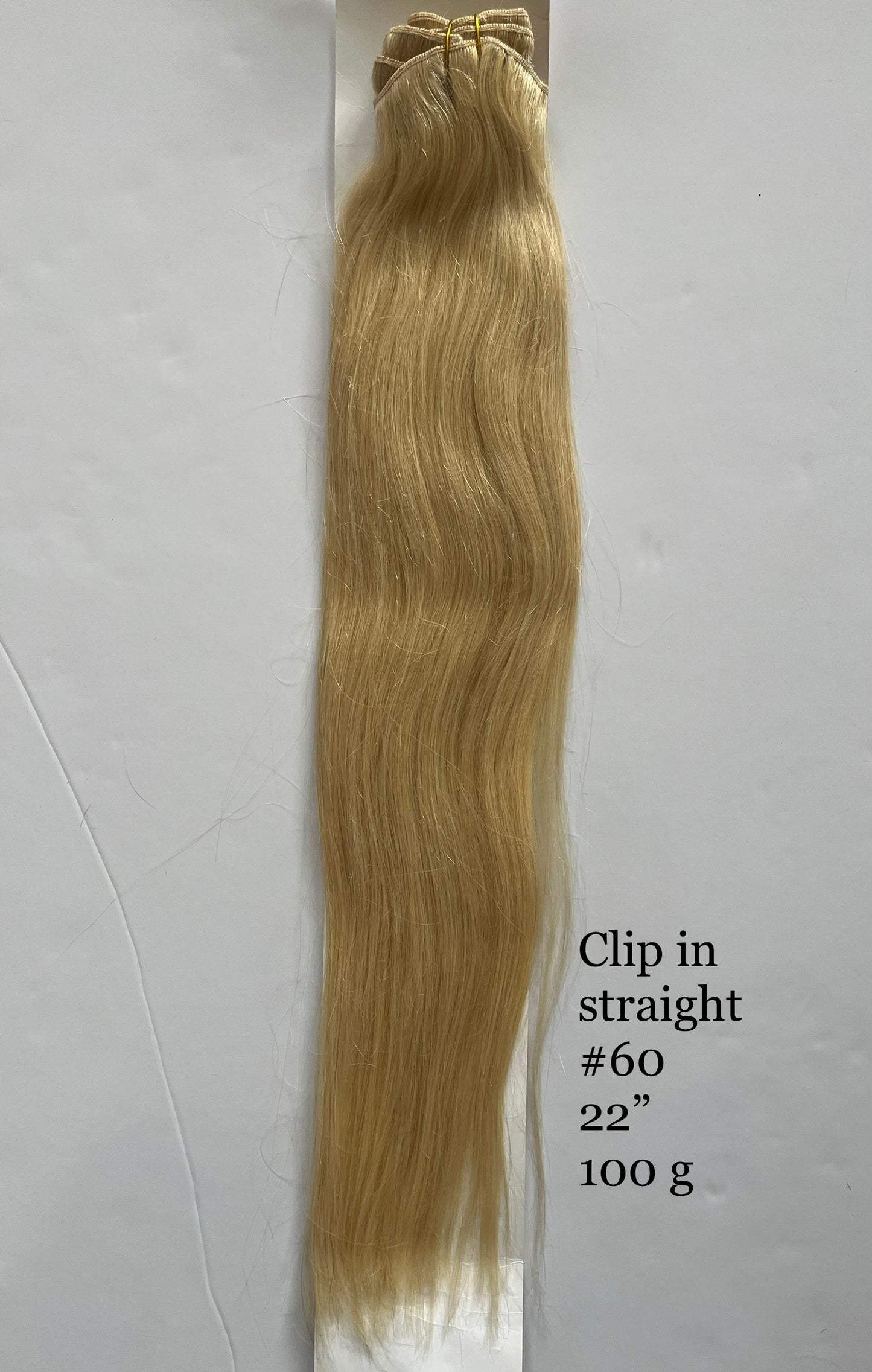 Ash Blonde #60 Straight Clip-In Hair Extensions – 100% Remy Human Hair | 100g/120g Pack | 10''–30'' | 8pcs, 18 Clips | Reusable | Ships from Canada