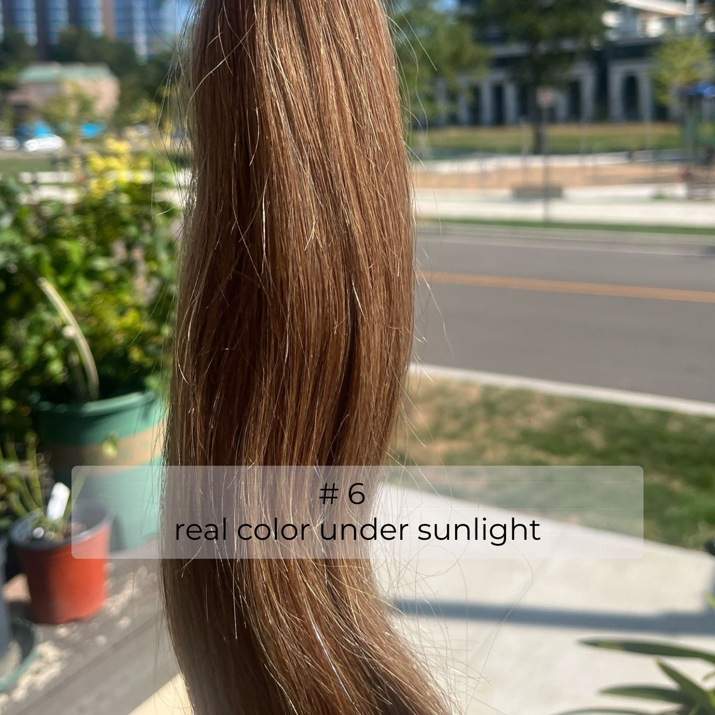 Chestnut Brown #6 Straight U Tip Fusion Hair Extensions – 100% Remy Human Hair | 50g Pack | 10’’–30’’ | Keratin Pre-Bonded | Reusable